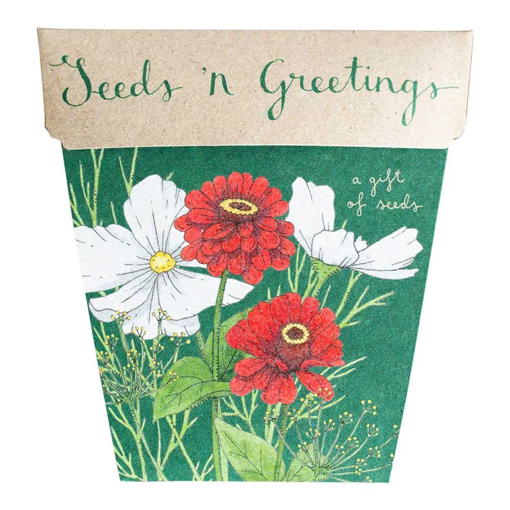 Sow n Sow Seed Cards - THE SHEARER'S WIFE